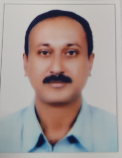 Debasish Sarkar